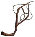 Zweige der Harrada werden in der Alchemie verwendet