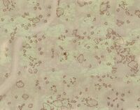 Arpenia Umgebung.jpg