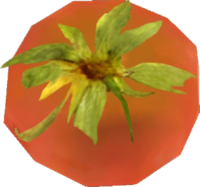 OBL Tomate.png