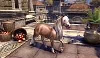 ESO Kaiserliches Weißgoldpony Promo.jpg