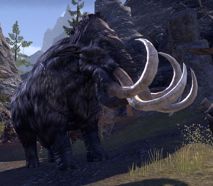 Datei:ESO Mannskadi.jpg