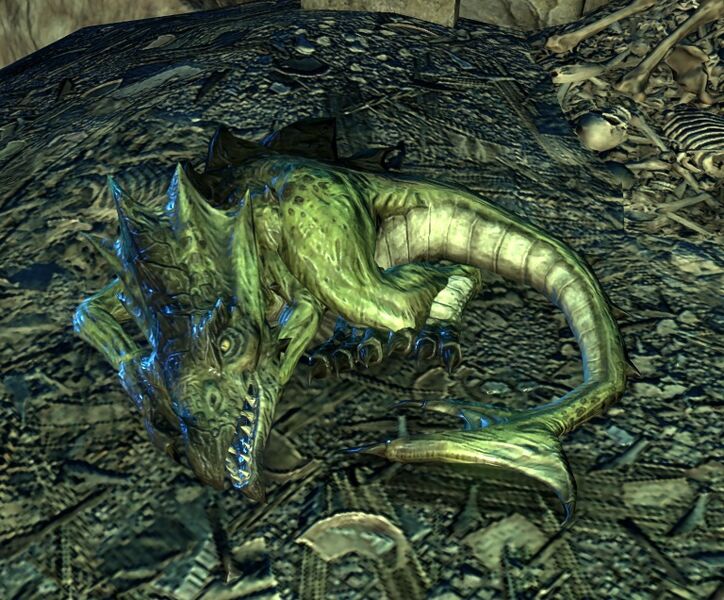 Datei:ESO Qilhel der Dickkopf.jpg