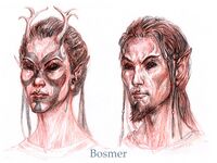 ToT Portrait Bosmer.jpg