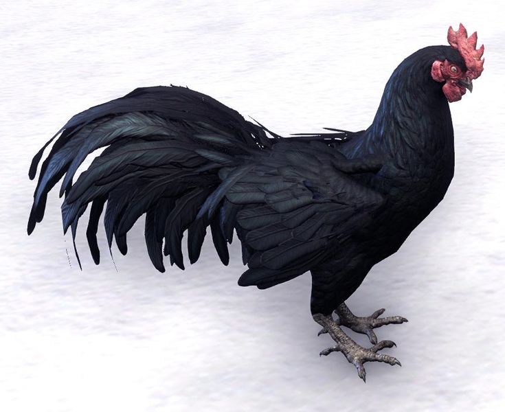 Datei:ESO Dämonischer Streithahn.jpg