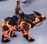 ESO Glutflammenbär Tragekapazität.jpg