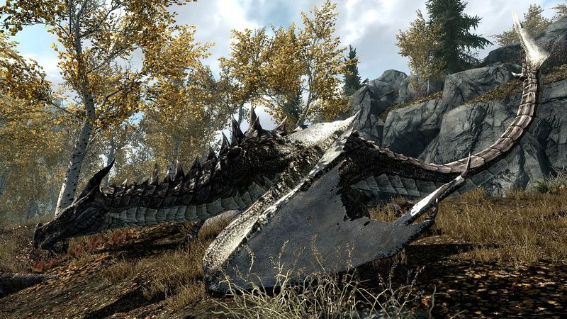 Datei:Drache auf Boden.jpg