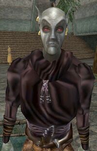 MW Dravil Indrano.jpg