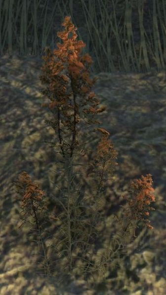 Datei:ESO Bergblume.jpg