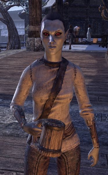 Datei:ESO Dalami Llervi.jpg