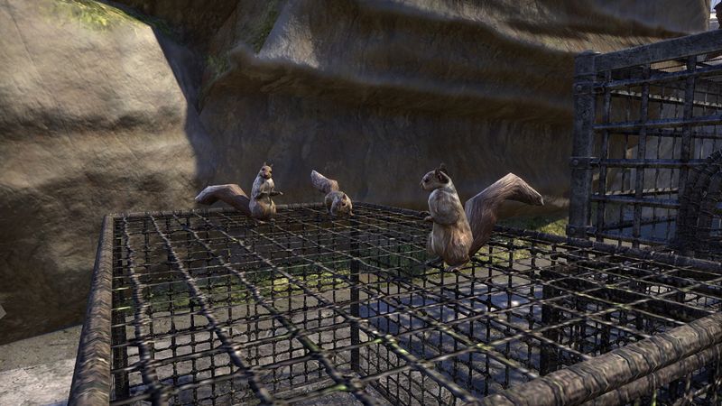 Datei:ESO Eichhörnchen Fahler Pass.jpg