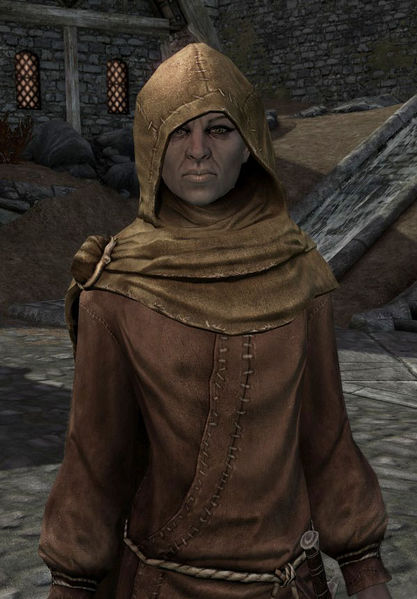 Datei:SR Danica Reinequelle.jpg