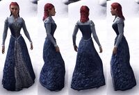 ESO Adelskleid-w.jpg