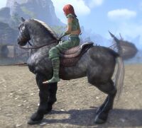 ESO Scheckzelter.jpg