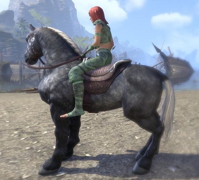 Datei:ESO Scheckzelter.jpg