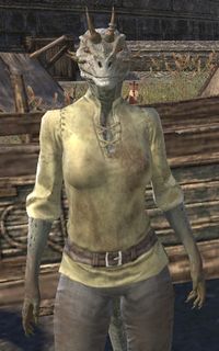 ESO Schwarz-Seide-Erde.jpg