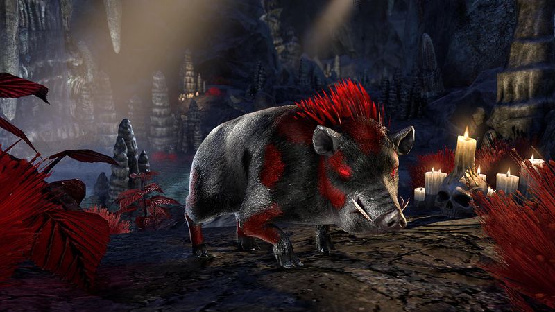 Datei:ESO Flammenrückenschwein Promo.jpg