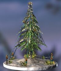 BL Mächtiger Saturalia-Baum.jpg