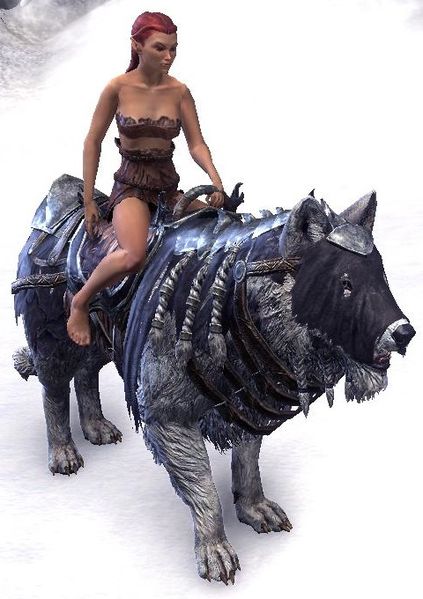 Datei:ESO Frostfluch-Wolf.jpg