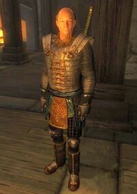 Jauffre in Rüstung.jpg