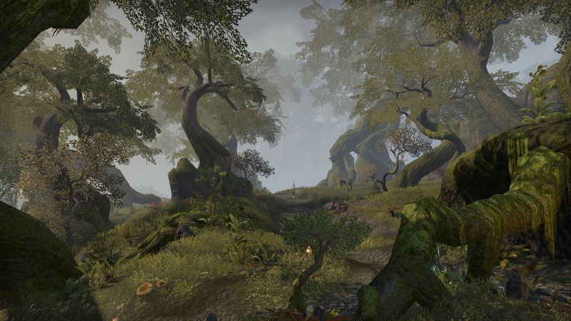 Datei:ESO Malabal Tor.jpg