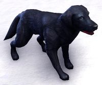 ESO Schornhelm-Hütehund.jpg