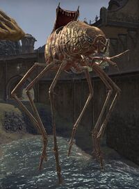 ESO Schlickschreiter.jpg