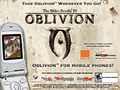Werbung während der Installation von Oblivion