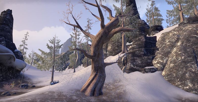 Datei:ESO Ödfels Opfer der Frostspinnen.jpg