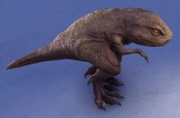 ESO Gesprenkelter Guar.jpg