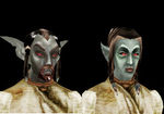 Morrowind:Dunkelelf