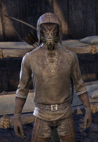 Datei:ESO Nebutil.jpg