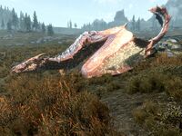 Verehrter Drache.jpg