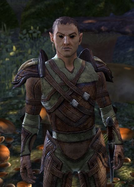 Datei:ESO Rondor.jpg