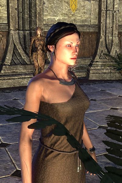 Datei:ESO Drienne Arne.jpg