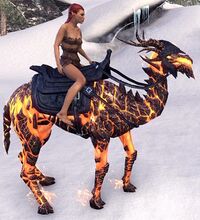 ESO Glutflammenkamel Ausdauer.jpg