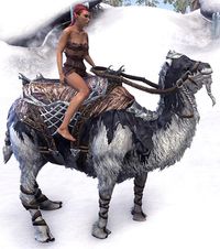 ESO Frostfluch-Kamel Tempo.jpg