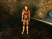 MWQ Legion Buckfalter-Festung 05.jpg