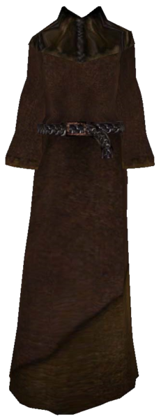 Datei:Gewöhnliches Gewand15.png