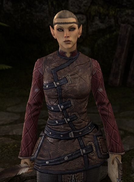 Datei:ESO Nolinore.jpg