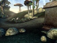 MWQ Kult-Laienheiler 12.jpg