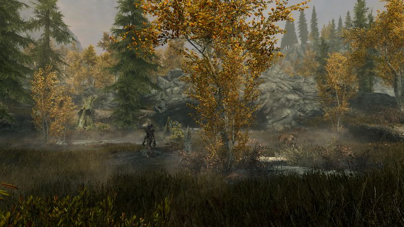 Datei:SR Herbstschattenlichtung.jpg