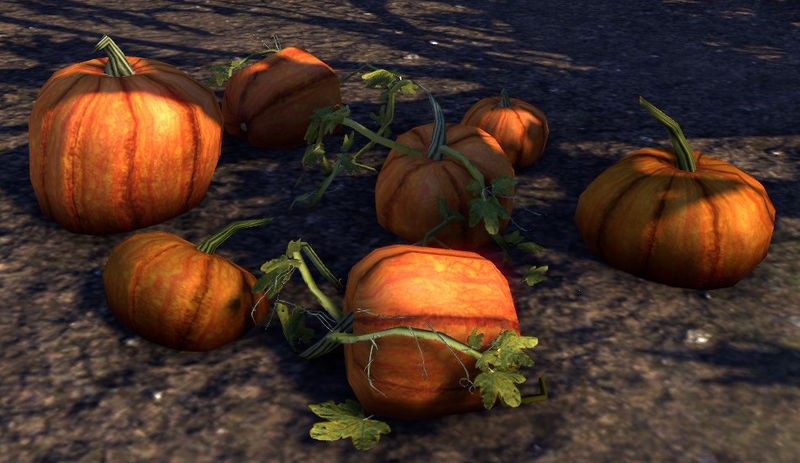 Datei:ESO Kürbisse.jpg