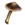 ESO Icon crafting mushroom entoloma cap r1.png