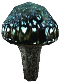 Leuchtender Russula.png