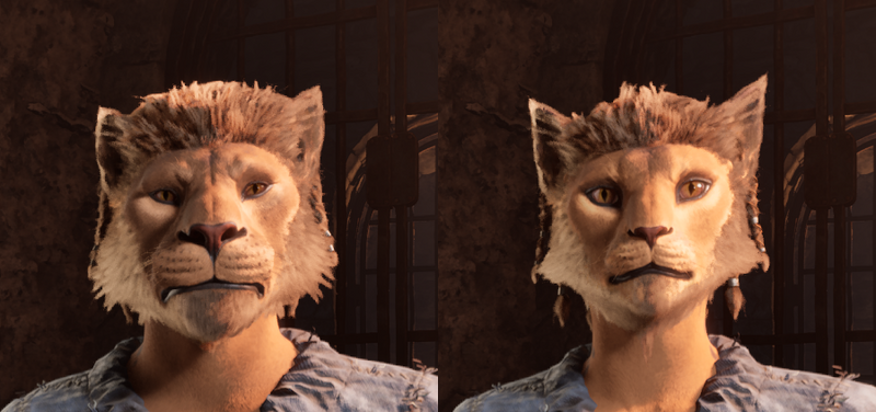 Datei:OBR Völker Khajiit.png