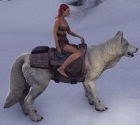 ESO Eiswolf Tragkapazität.jpg