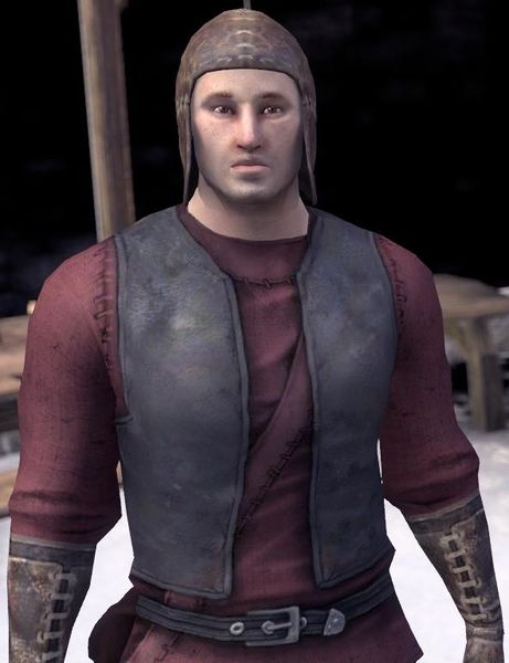 Datei:ESO Vidusil Eiswolf.jpg