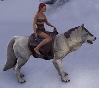 ESO Eiswolf Ausdauer.jpg