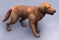 ESO Bravil-Apportierhund.jpg