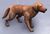 ESO Bravil-Apportierhund.jpg